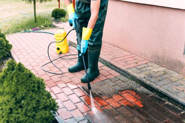Best Roof Washing  in Laurel Springs, NJ